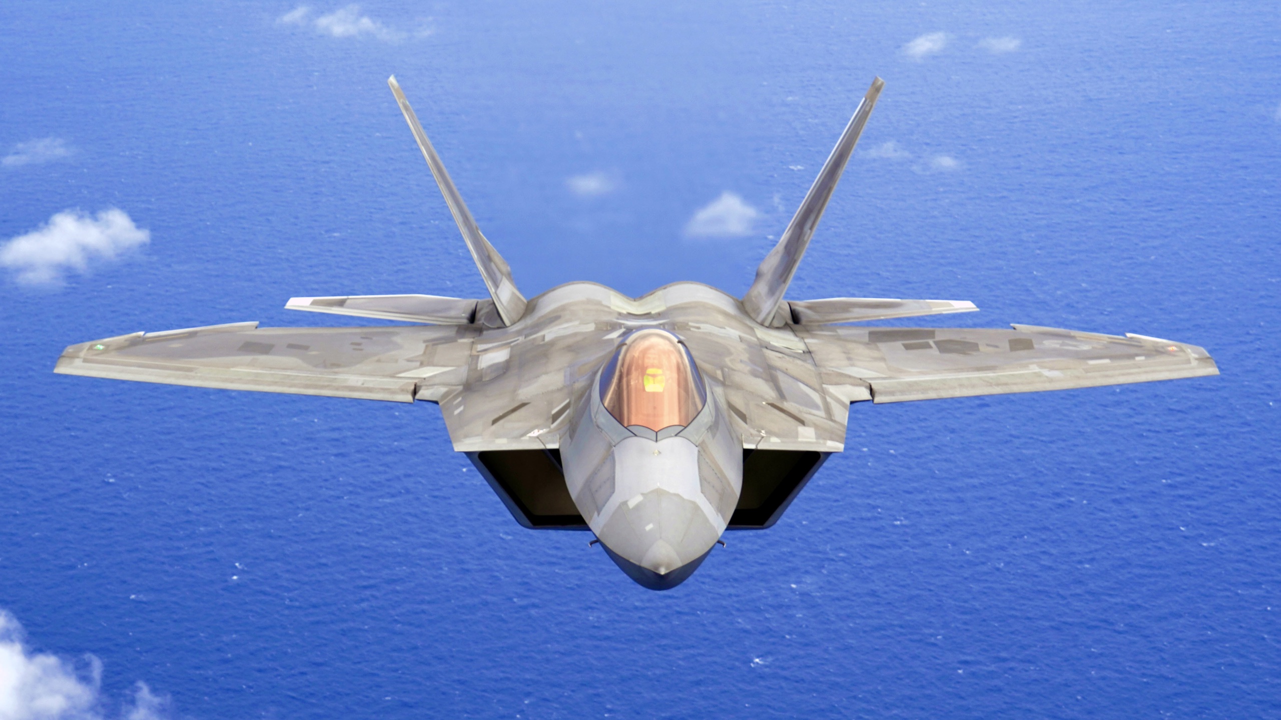 F-22 Raptor