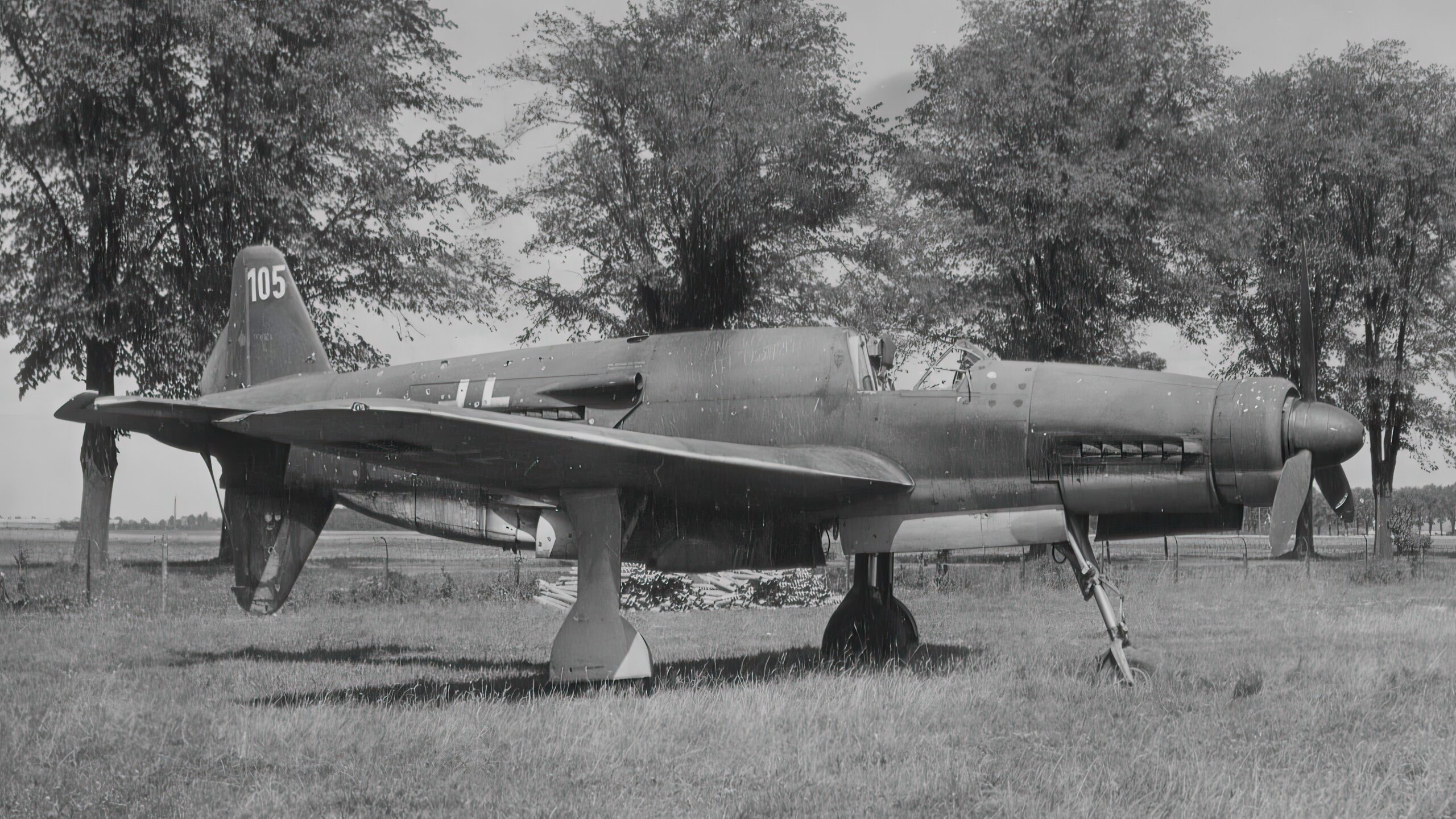 German Dornier Do 335