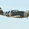 The P-47 Thunderbolt: An Aerial Beast
