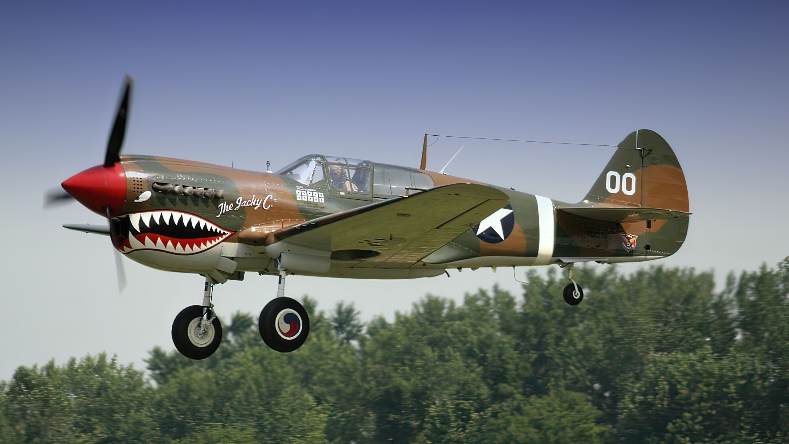 Curtiss P-40 Warhawk