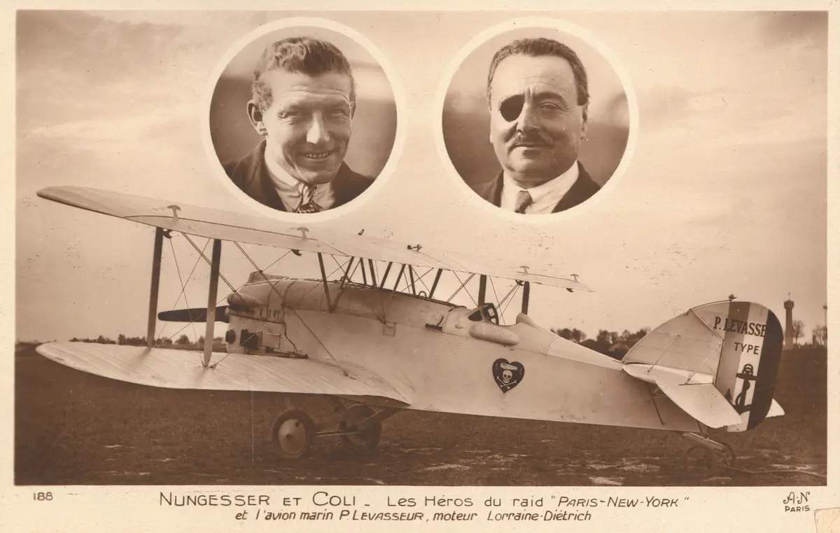 PL.8 Oiseau Blanc