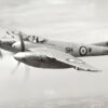 de Havilland Hornet: Iconic Aircraft of Aviation History