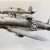 British Turret Fighters: Boulton Paul Defiant and Blackburn Roc