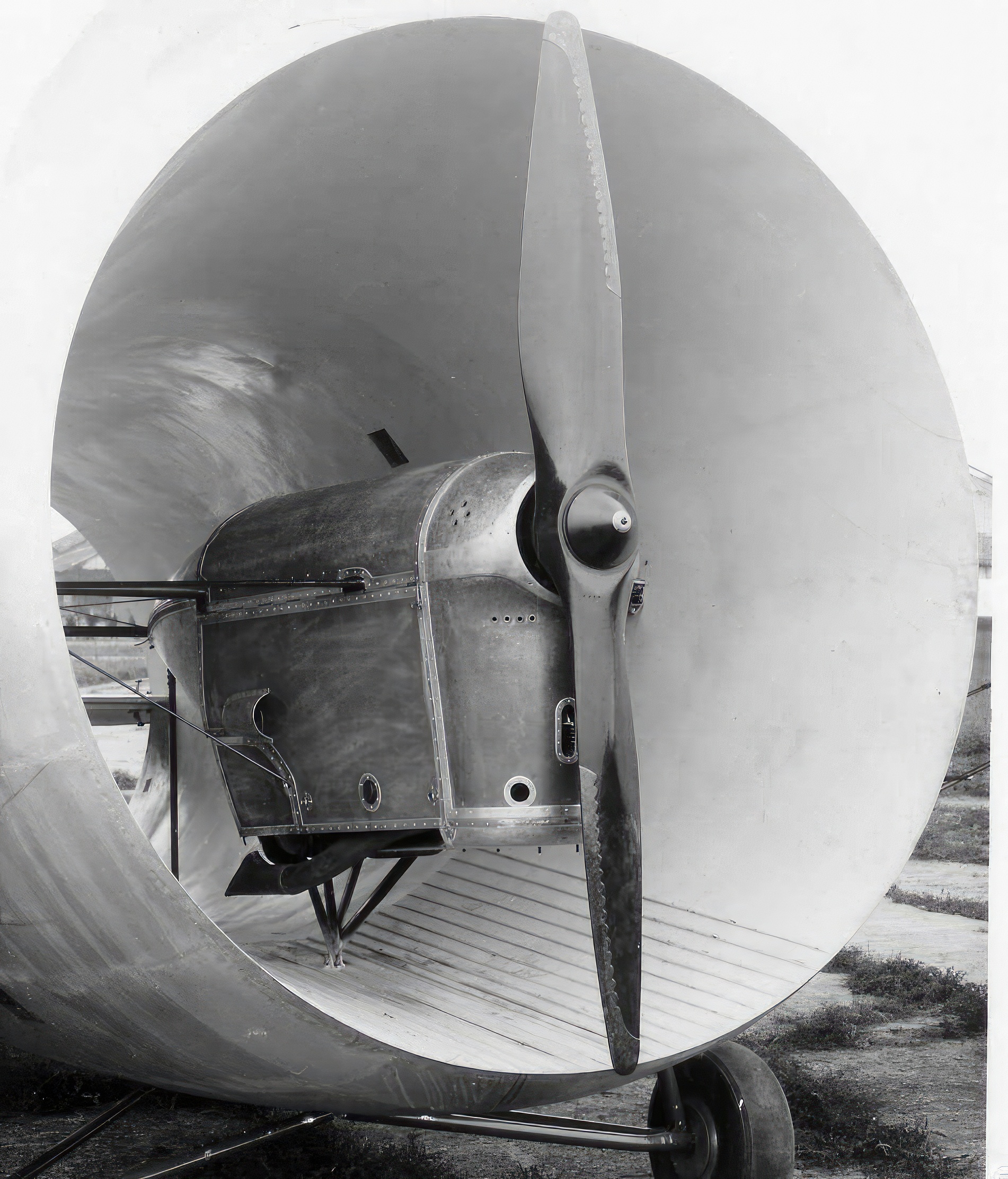 Stipa Caproni