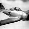 P-43 Lancer: Overshadowed Sibling of P-47