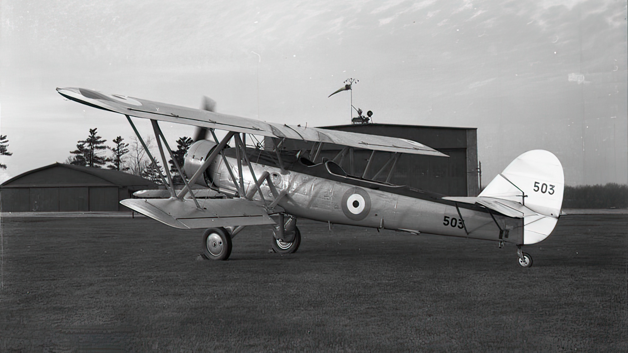 Three-quarters side view of Blackburn Shark aircraft no. 503
