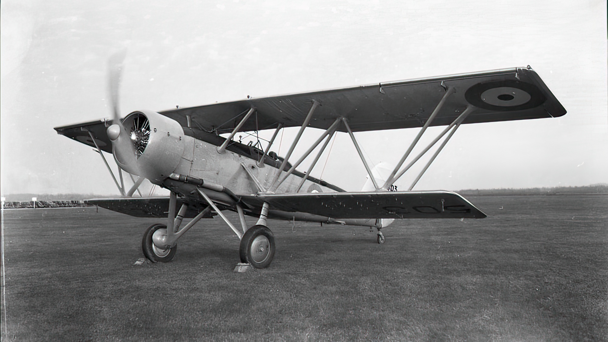 Blackburn Shark aircraft no. 503