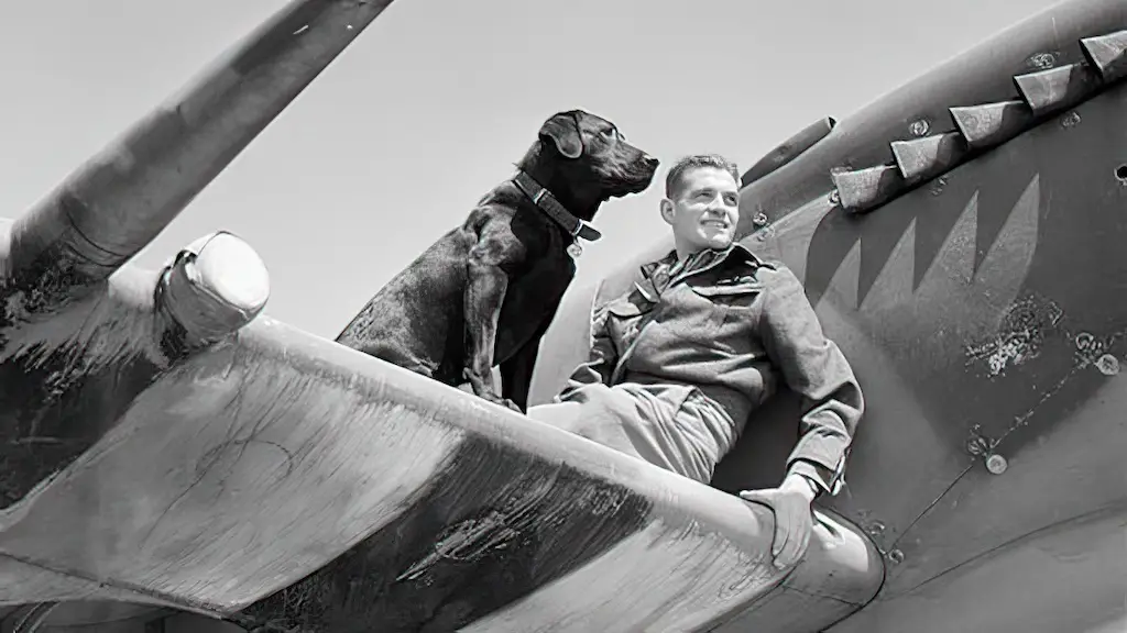 Johhnnie Johnson, relaxing in between sorties on the wing of his Spitfire in Normandy, c.June–August 1944. His dog, Sally, is to the left June 1944