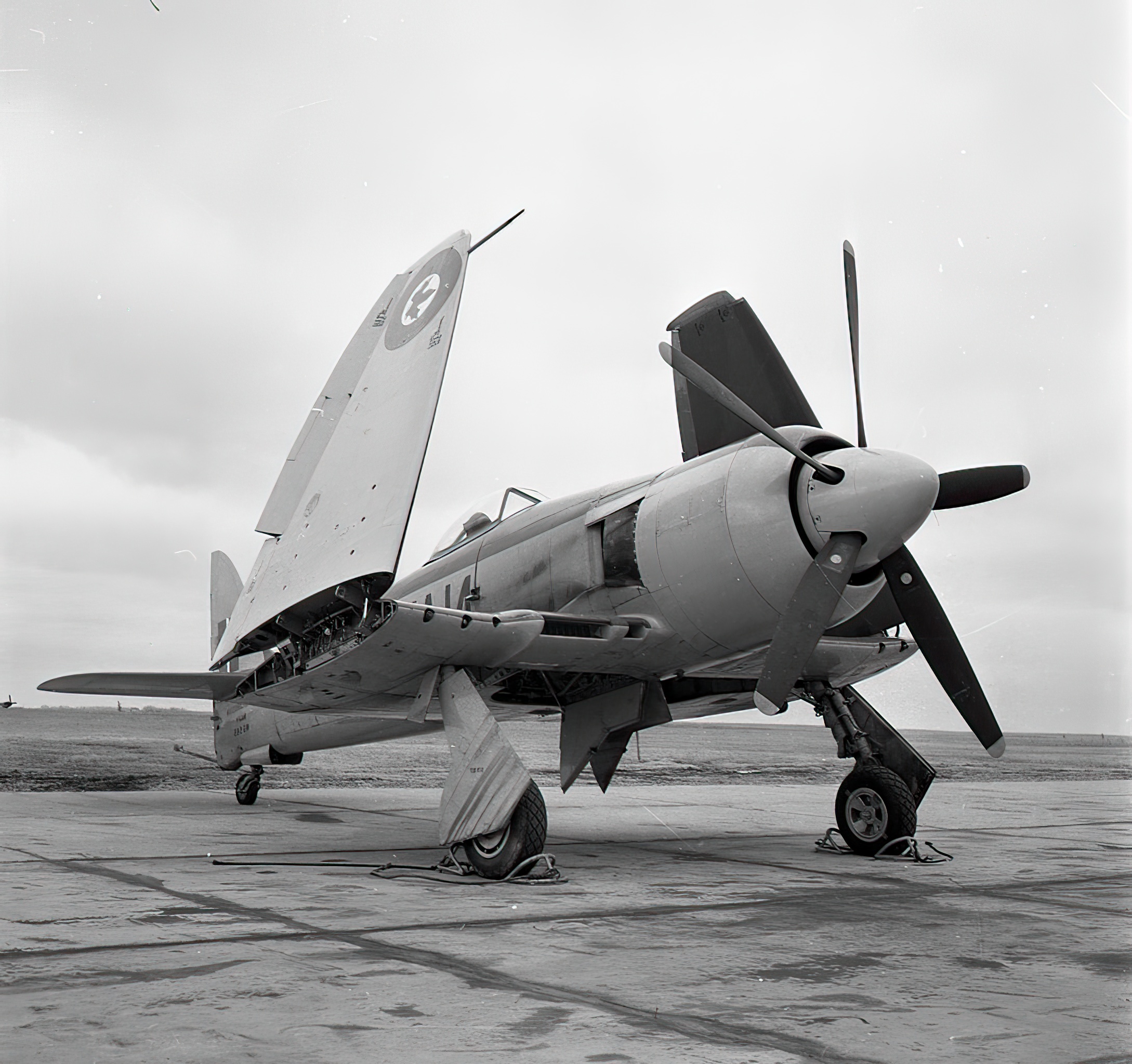 RCN Sea Fury WG-565