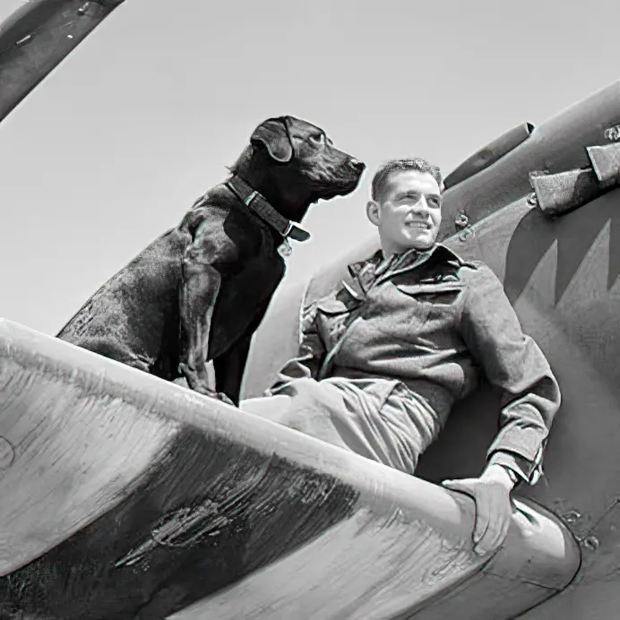 Johhnnie Johnson, relaxing in between sorties on the wing of his Spitfire in Normandy, c.June–August 1944. His dog, Sally, is to the left