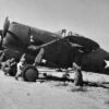 The Vultee P-66 Vanguard: A Fighter of Mixed Fortunes