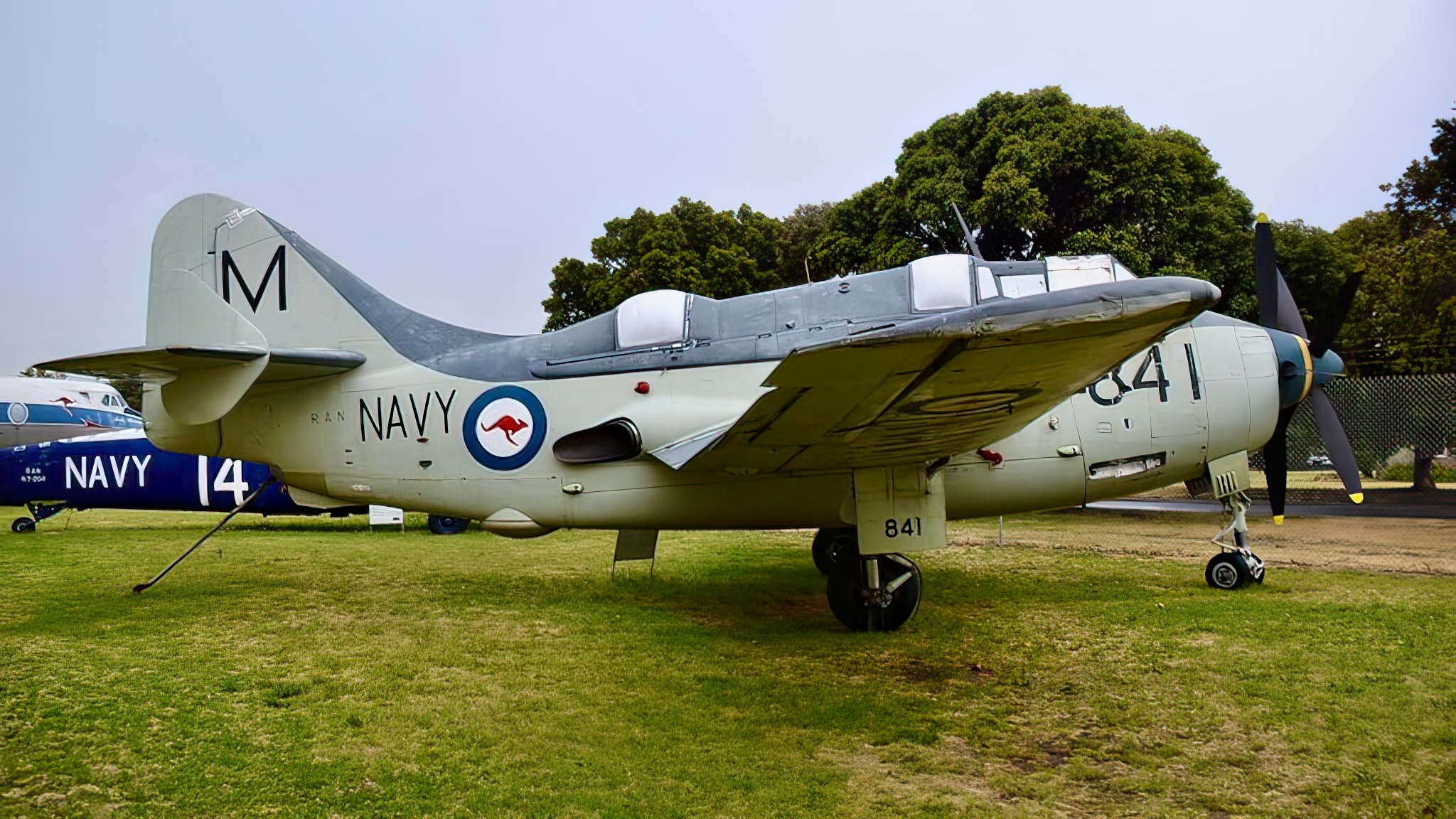 Fairey Gannet AS.4 at the Australian National Aviation Museum, Moorabbin, VIC.,Australia