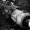 Fw 190 Found in Woods: Uncovering the Greatest WW2 Relic (inc video)